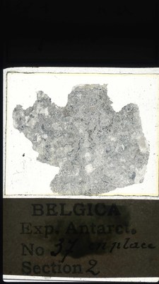 belgica antarctica expeditie  37.2a.jpg