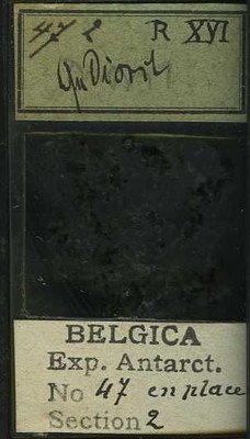 belgica antarctica expeditie  47.2b.jpg