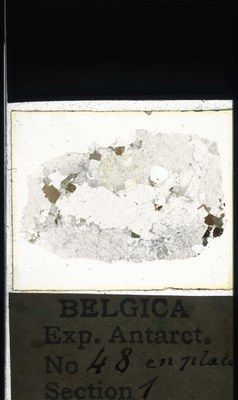 belgica antarctica expeditie  48.1a.jpg