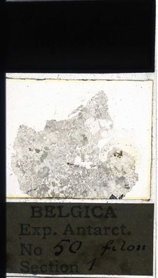 belgica antarctica expeditie  50.1a.jpg