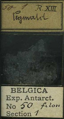 belgica antarctica expeditie  50.1b.jpg