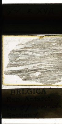 belgica antarctica expeditie  57.1a.jpg