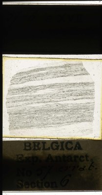 belgica antarctica expeditie  57.6a.jpg