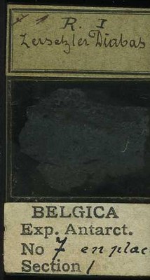 belgica antarctica expeditie  7.1b.jpg