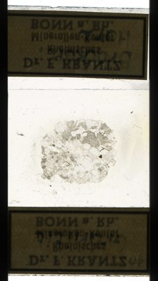 RR5193.TS granitit.jpg