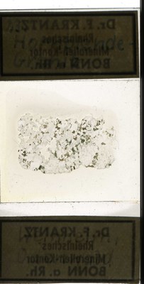 RR5206.TS Hornblende-Granit.jpg