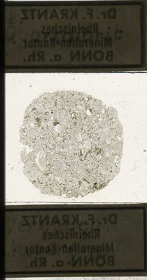 RR5241.TS Quartz-Diorite.jpg