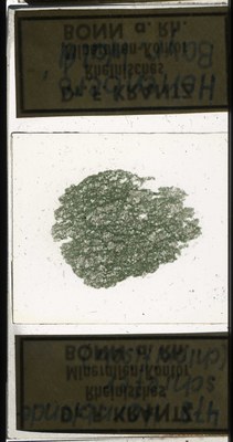 RR7565.TS Hornrblende-Schief'er (chloritisch).jpg