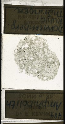 RR7570.TS Amphibolith.jpg