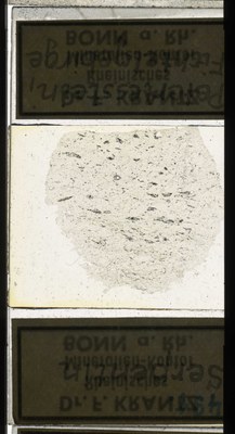 RR7577.TS Serpentin.jpg