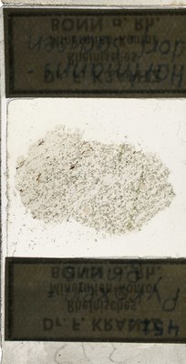 RR7599.TS Pyroxengneis.jpg