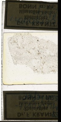 RR7604.TS Muskovitschiefer.jpg