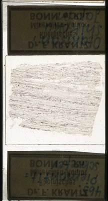 RR7612.TS Piemonititschiefer.jpg