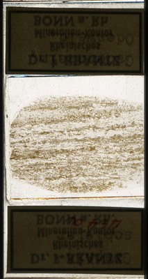 RR7613.TS Graphitschiefer.jpg