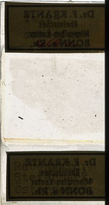 RR7614.TS Talkschiefer.jpg