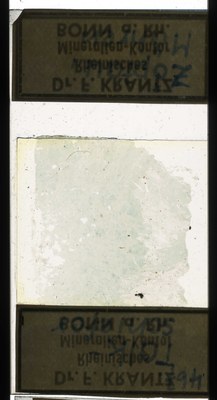 RR7616.TS Talkschiefer.jpg