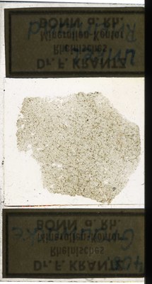 RR7619.TS Grauwacke.jpg