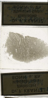 RR7637.TS Mergel .jpg