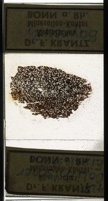 RR7640.TS Oolithischer Eisenstein.jpg