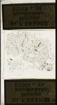 RR7649.TS Gneis.jpg