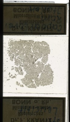 RR7651.TS Leucitit.jpg