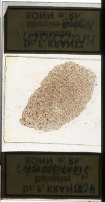 RR7682.TS Sandstein .jpg