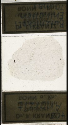 RR7685.TS Anarzit.jpg
