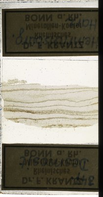 RR7689 Desmosit.jpg
