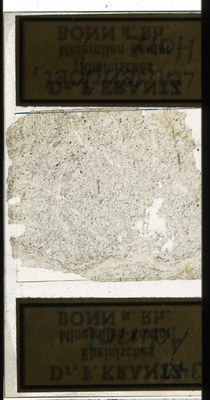 RR7691 Adinol.jpg