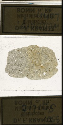 RR7692 Spilit.jpg