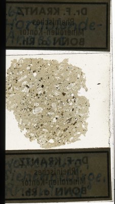 RR7768 Hornblende-Andesit.jpg