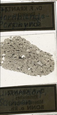 RR7772 Hornblende-Porphyrit.jpg