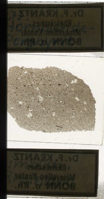 RR7774 Hornblende-Porphyrit.jpg