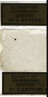 RR7786 Trachyt.jpg