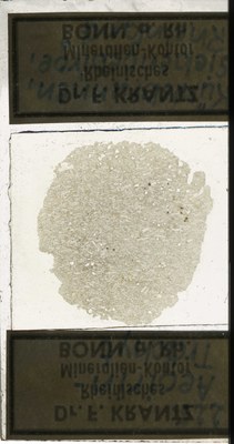 RR7789 Aegirin-Trachyt.jpg