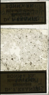 RR7828.TS Trachyt.jpg