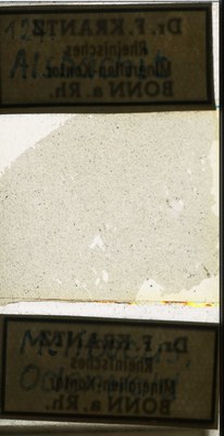 RR7905.TS alsbachit.jpg