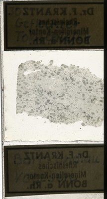 RR7908.TS Gefleckter Tonschiefer.jpg