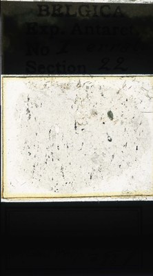 belgica antarctica expeditie  1.22a.jpg