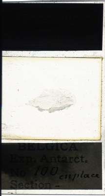 belgica antarctica expeditie 100a.jpg