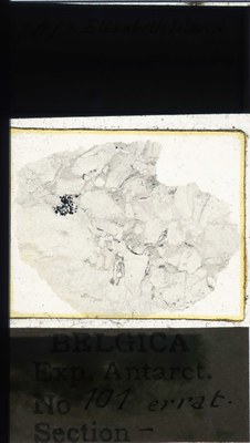 belgica antarctica expeditie 101a.jpg
