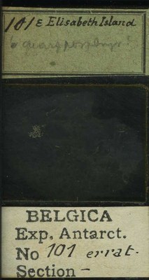 belgica antarctica expeditie 101b.jpg