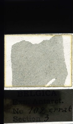 belgica antarctica expeditie 102.3a.jpg
