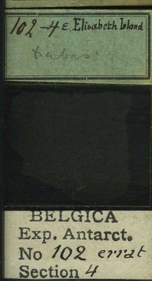 belgica antarctica expeditie 102.4b.jpg