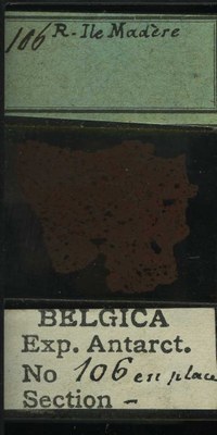 belgica antarctica expeditie 106b.jpg