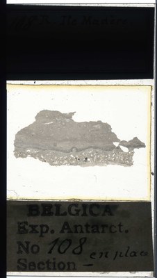 belgica antarctica expeditie 108a.jpg