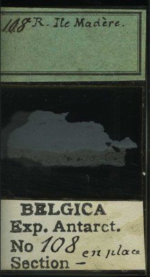 belgica antarctica expeditie 108b.jpg