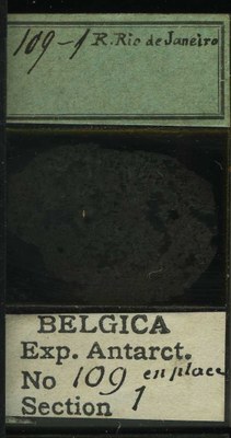 belgica antarctica expeditie 109.1b.jpg