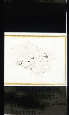 belgica antarctica expeditie 109.3a.jpg
