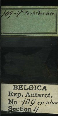 belgica antarctica expeditie 109.4b.jpg
